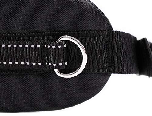 LASALINE Canicross - Cinturón abdominal para jogging o senderismo, color negro y azul claro
