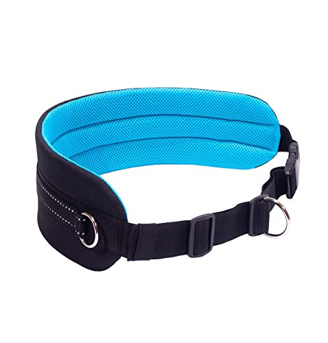 LASALINE Canicross - Cinturón abdominal para jogging o senderismo, color negro y azul claro