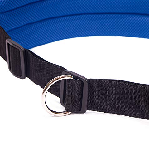 LASALINE Canicross - Cinturón abdominal para jogging o senderismo, color negro y azul oscuro