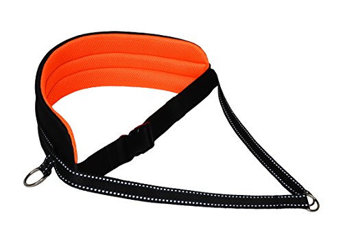 LASALINE Cinturón abdominal para Canicross Dogtrekking Ski-Jöring Touren Perros deporte en negro y naranja neón