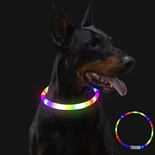 LED Collar de Perro de Mascota,Collar Luminoso Perro Recargable, Collar Luz Perros Impermeable, Collar LED Perro para Perros Pequeños Cachorro,Medianos y Grandes,Collar Reflectante Perro de Seguridad