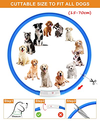 LED Collar Perro Collar de Seguridad, Collar de Perro de Mascota, Collar Luminoso Perro de Mascota, USB Recargable Collar de Seguridad para Mascotas Impermeable hasta (Azul)