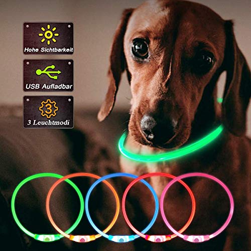 LED Collar Perro Collar de Seguridad, Collar de Perro de Mascota, Collar Luminoso Perro de Mascota, USB Recargable Collar de Seguridad para Mascotas Impermeable hasta (Green)