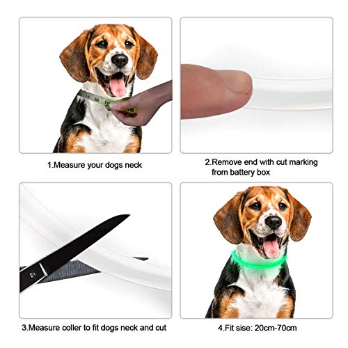 LED Collar Perro Collar de Seguridad, Collar de Perro de Mascota, Collar Luminoso Perro de Mascota, USB Recargable Collar de Seguridad para Mascotas Impermeable hasta (Green)