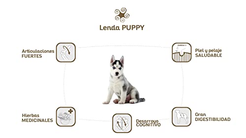 Lenda Cachorros - Alimento para Perros Cachorros y Jóvenes | Lenda Original Puppy Comida para Cachorros de Todas Las Razas [6kg]