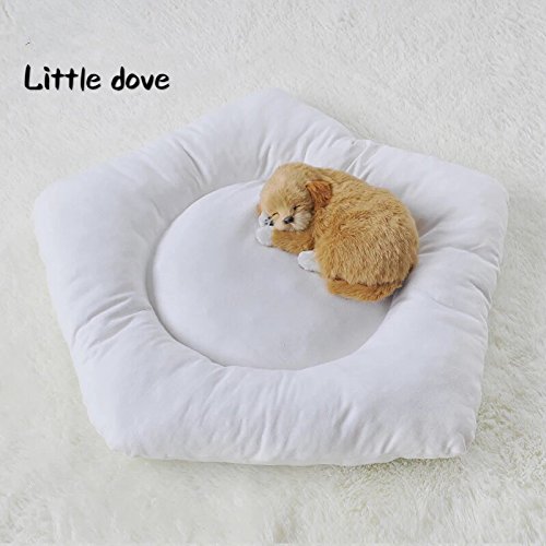 Little Dove Tienda de campaña para mascotas, extraíble y lavable, con colchón, color blanco, S