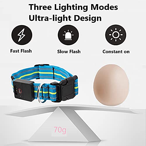 LKJYBG Collar Luminoso LED para Perro, Recargable por USB, Resistente al Agua, Collar de Seguridad para Mascotas, con Longitud Ajustable,Adecuado para Muchos Tipos de Mascotas, Color Rosa M