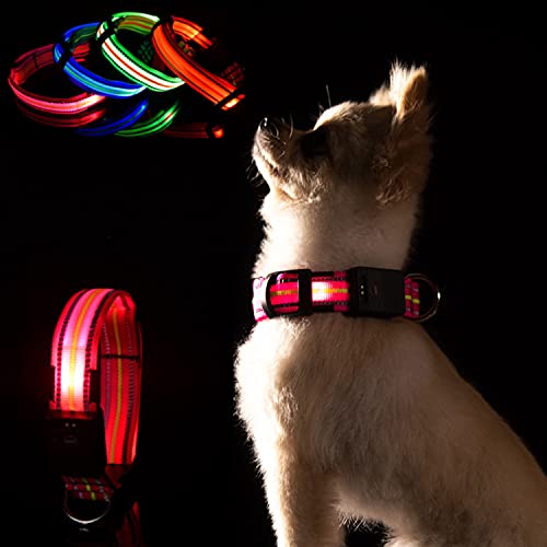 LKJYBG Collar Luminoso LED para Perro, Recargable por USB, Resistente al Agua, Collar de Seguridad para Mascotas, con Longitud Ajustable,Adecuado para Muchos Tipos de Mascotas, Color Rosa M