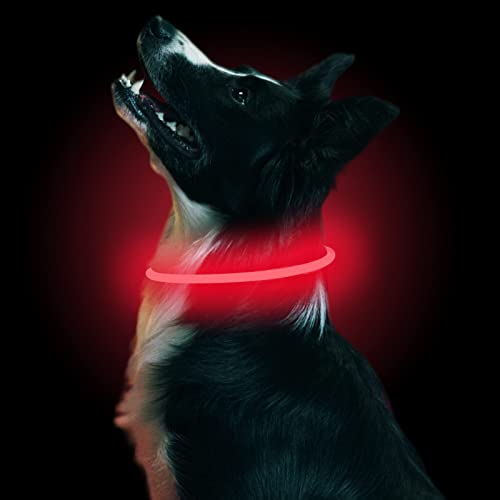 LMLMD Luminoso Collar Perro de Mascota LED, Ajustable Recargable 3 Modos, Collares LED para Perros Pequeños/Medianos/Grandes, rojo