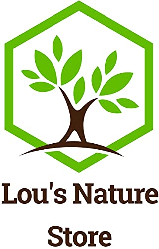 Lou's Nature Store - Alimentador de ventana y soporte para suet