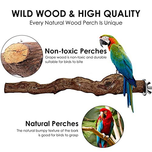 Luckxing Soporte natural para pájaros de madera, soporte para pájaros de madera, soporte para adiestramiento para pájaros naturales, poste para loros con plataforma para loros