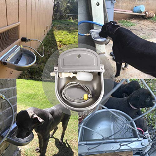 Lucky Farm - Comedero automático de agua con 1/2 tubería y flotador original para ganado, cabra, oveja, perro, bebedero de agua de acero inoxidable para mascotas (con agujero de drenaje)