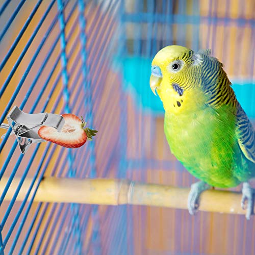 LuluDa 5pcs Comedero para Pajaros Clip de Alimentación para Loros Aves Comida Titular Abrazadera Accesorios Jaula de Pájaros Clip de Comida para Loros Canarios Periquitos