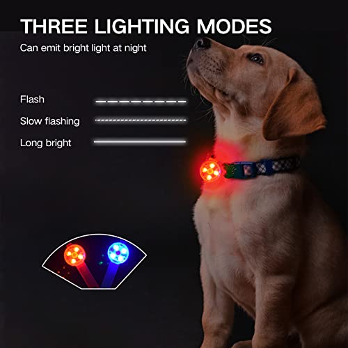 Luz Intermitente LED de Seguridad para Perros, Gatos - Luz LED Colgante USB Recargable para Perro, 3 Modos Intermitentes Luces de Seguridad Impermeables para Mascotas (Red+Blue, 2)
