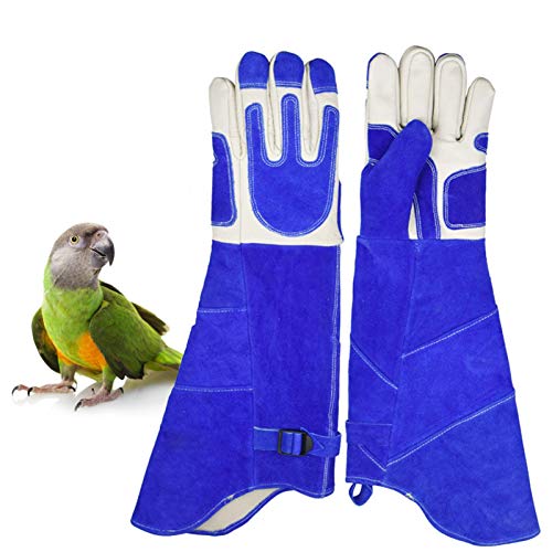 LY-Rack Guantes Trabajo Seguridad Anti-mordidas/arañazos Monk Parakeet, Tratamiento Mascotas Guantes para raspar Guantes protección Vida Silvestre Perro Gato Serpiente Loro Lagarto (Size : XL)