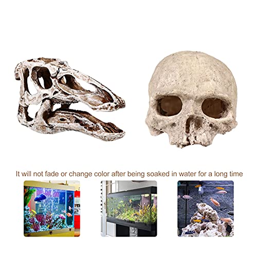 M I A 2 piezas de resina artificial dinosaurio cráneo esqueleto acuario ornamento cráneo esqueleto cueva escondite reptiles casas decoración para peceras acuario cueva paisaje