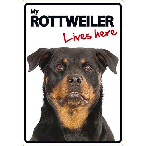 MAGNET & STEEL Señal A5 'Rottweiler - Lives Here'