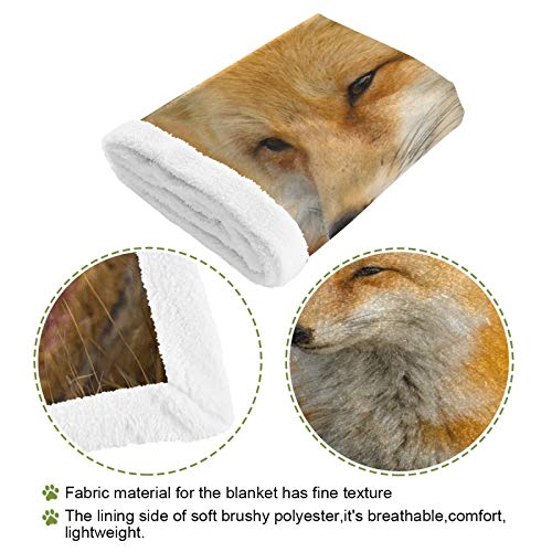 Manta de perro de impresión cálida cubierta de la cama mantas de zorro