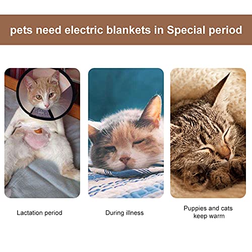 Manta Electrica Gato, Manta Eléctrica para Mascotas, Manta Termica para Gato, Alfombrilla calefactable para perros y gatos, temperatura constante y alfombrilla de calor, lavable