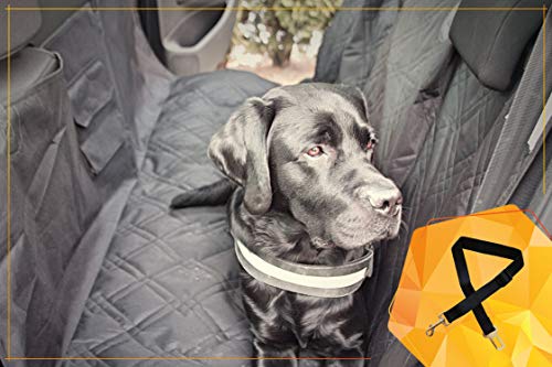 Manta lavable para perro "Bee more dog" - y hamaca con cremallera y bolsa, tamaño universal para el asiento trasero, manta antirrayas y antideslizante para perro con cinturón de seguridad.