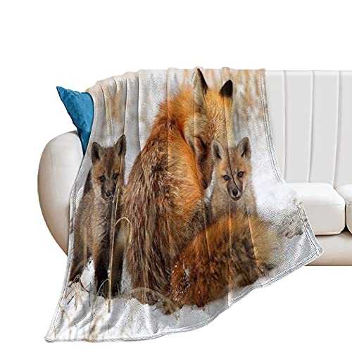 Manta suave de franela antialérgica de 127 x 152 cm, diseño de animales astutos de zorro lindo para mascotas, perros, gatos, animales de caballo, tamaño pequeño