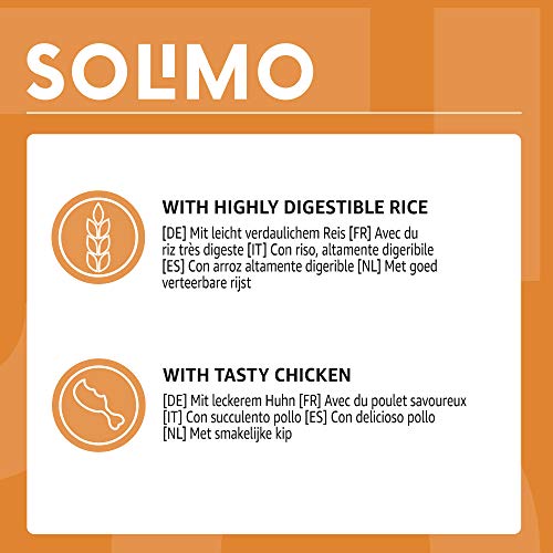 Marca Amazon - Solimo - Treats para perros: pollo y arroz, stick dentales sin aromatizantes artificiales (32 piezas x 65 gr)