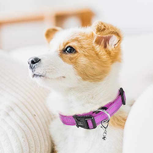MASBRILL Collar de Perro Duradero y Reflectante, Ajustable Collar para Perros Grandes o Pequeños, Fabricado de Nylon con Suave Acolchado (Morado XL)