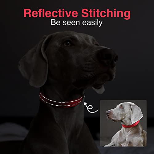 MASBRILL Collar de Perro Duradero y Reflectante, Ajustable Collar para Perros Grandes o Pequeños, Fabricado de Nylon con Suave Acolchado (Rojo S)