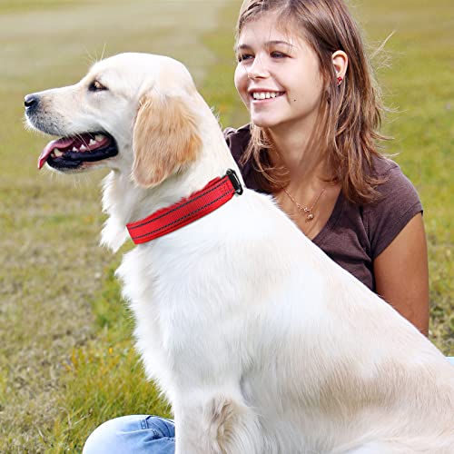 MASBRILL Collar de Perro Duradero y Reflectante, Ajustable Collar para Perros Grandes o Pequeños, Fabricado de Nylon con Suave Acolchado (Rojo S)