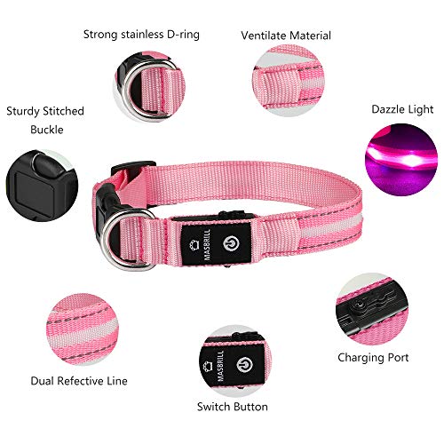 MASBRILL Collar LED Perro, Collar para Perro Luminoso Recargable y Impermeable, 3 Modos de Iluminación led y Tamaño Ajustable para Perros Pequeños Medianos Grandes(Rosa XS)