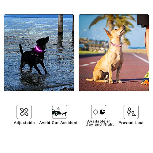 MASBRILL Collar LED Perro, Collar para Perro Luminoso Recargable y Impermeable, 3 Modos de Iluminación led y Tamaño Ajustable para Perros Pequeños Medianos Grandes(Rosa XS)