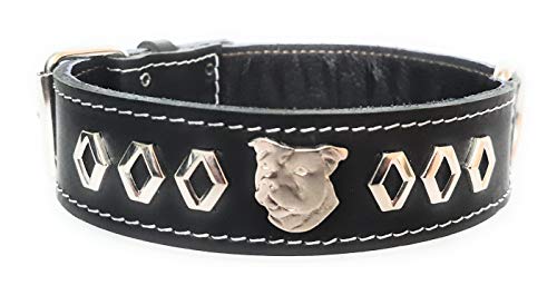 M&D Collar de piel de grano superior negro con diseño único y diseño de cabeza de Staffordshire Bull Terrier, 3,8 cm de ancho (mediano: 45,7 cm - 55,8 cm)