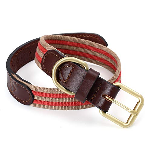 Mile High Life | Collar de Perro de Lona de Primera Calidad | Collar de Perro con Hebilla de aleación de Zinc | Collar de cinturón de Cuero Genuino