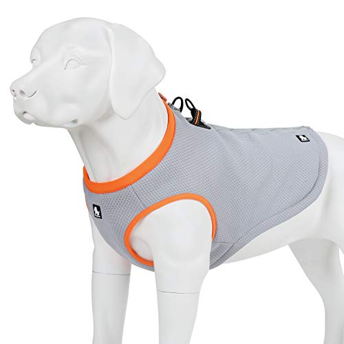 MOKCCI Truelove - Chaleco de refrigeración para perros con cremallera ajustable para entrenamiento al aire libre y camping
