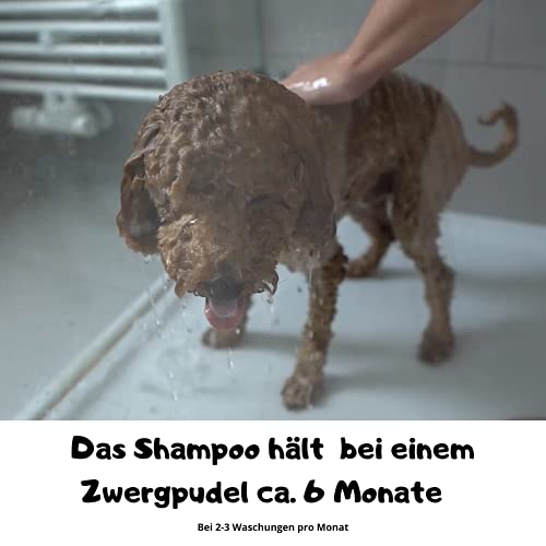 Moki Bär Champú para perros con valioso aceite de argán de Marruecos, para un pelo suave y fácil peinado, fabricado en Alemania.