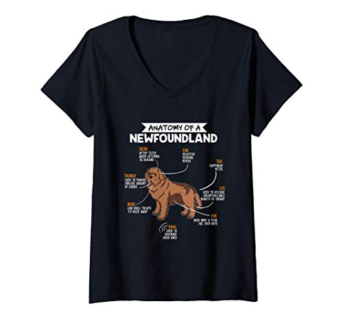 Mujer Anatomy Of A Newfoundland Dog Regalo Terranova Perro Camiseta Cuello V