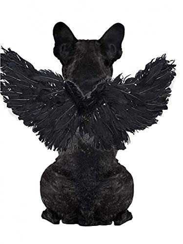 NaiCasy Mascota Disfraces de Halloween alas Cachorro Cosplay Diablo ángel Pluma alas Foto Accesorios Negro l