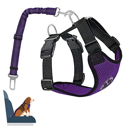 Nasjac Juego de Cinturones de Seguridad para Perros, cinturón de Seguridad para Mascotas con cinturón de Seguridad (M, Púrpura (cinturón de Seguridad del arnés))