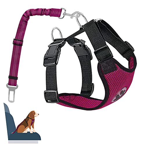 Nasjac Juego de Cinturones de Seguridad para Perros, cinturón de Seguridad para Mascotas con cinturón de Seguridad (XXS, Rosa roja (con Cinturón de Seguridad))