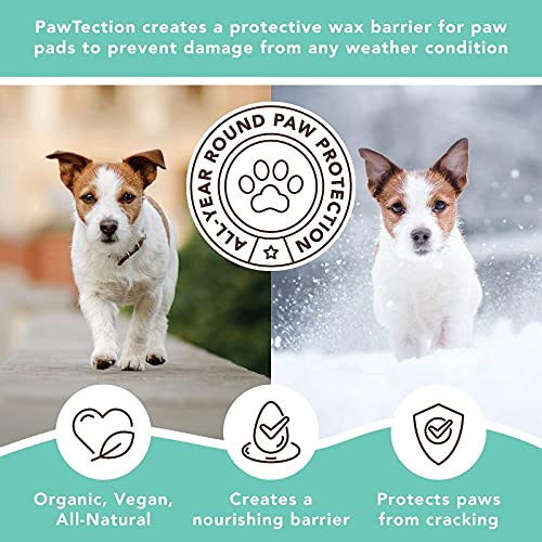 Natural Dog Company PawTection 59 ml | para almohadillas de protección de gato | orgánico, vegano