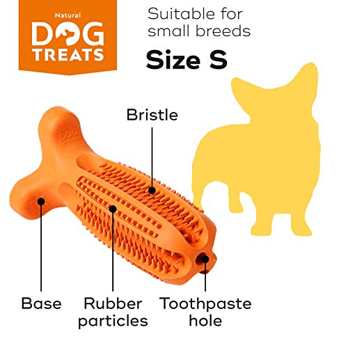 Natural Dog Treats Cepillo de Dientes y Dentífrico Set para Perros, 100% Natural Caucho Dog Brushing Stick, Juguete para Masticar, Tamaño Pequeño S