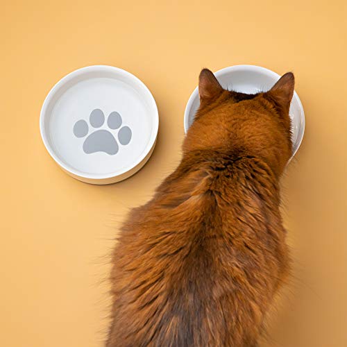 Navaris Comedero y Bebedero para Mascotas - 2X Cuenco Antideslizante de Porcelana para Agua Comida para Perros Gatos Conejos - Apto para lavavajillas
