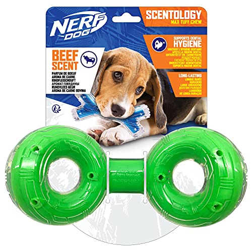 NERF Dog Scentology Infinity Ring - Juguete para Perros con Olor a Carne de Vacuno, 21 cm