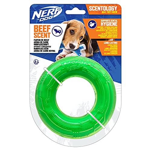 NERF Dog Scentology - Juguete para Perros con Aroma a Carne de Vacuno, 12,5 cm