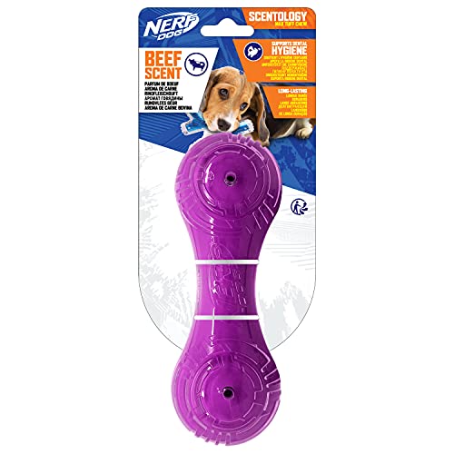 NERF Dog Scentology - Juguete para Perros con Aroma a Carne de Vacuno, 18 cm