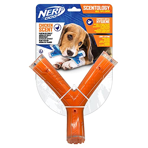 NERF Dog Scentology - Juguete para Perros con Olor a Carne de Cordero sólido, 21 cm