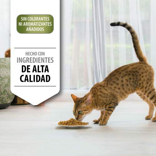 Nestlé Purina Pro Plan Comida para Gato pienso para Gato Elegant con Optiderma Salmón 3 kg - Pack de 4