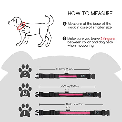 Nobleza - Collares LED para Perros, Collar Luminoso Perro de Mascota 3 Modos Collar Perro Luz con Recargable y Impermeable, Ajustable Collares LED para Pequeños Medianos Perros