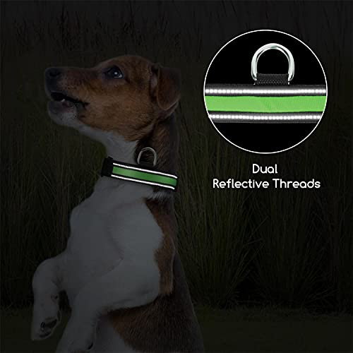 Nobleza - Collares LED para Perros, Collar Luminoso Perro de Mascota 3 Modos Collar Perro Luz con Recargable y Impermeable, Ajustable Collares LED para Pequeños Medianos Perros, Color Aleatorio M