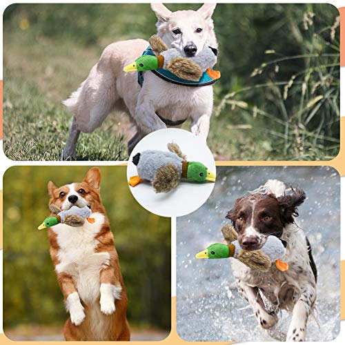 Nollary Dog Plush Squeaky Toys Peluche Pato y erizo Durable Pet Toys con sonidos BB integrados para aburrimiento Entretenimiento